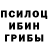 Галлюциногенные грибы GOLDEN TEACHER Man To