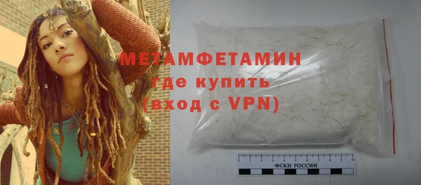 прущие грибы Волоколамск