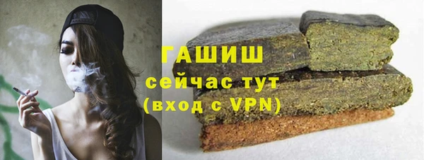 прущие грибы Волоколамск