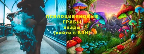 прущие грибы Волоколамск