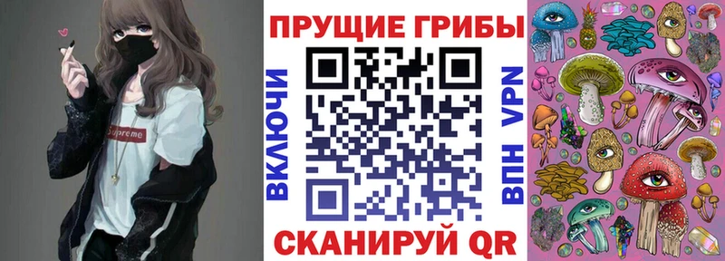 Галлюциногенные грибы MAGIC MUSHROOMS  купить  сайты  Находка 